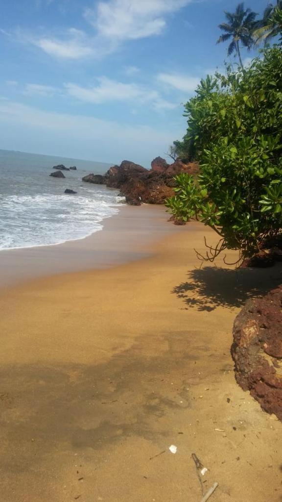 Manshore Bay كانور المظهر الخارجي الصورة