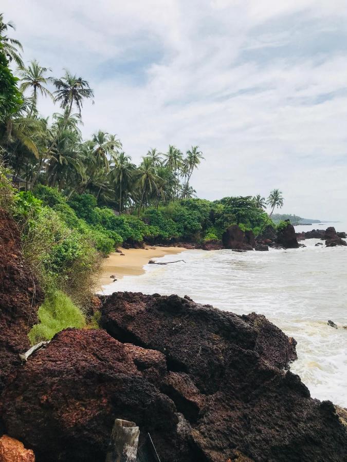 Manshore Bay كانور المظهر الخارجي الصورة